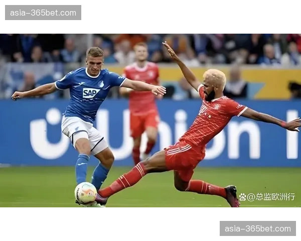 霍芬海姆对阵美因茨跑动距离112公里，转换速度4.2m-s超德甲均值